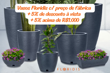 Vasos Floridis